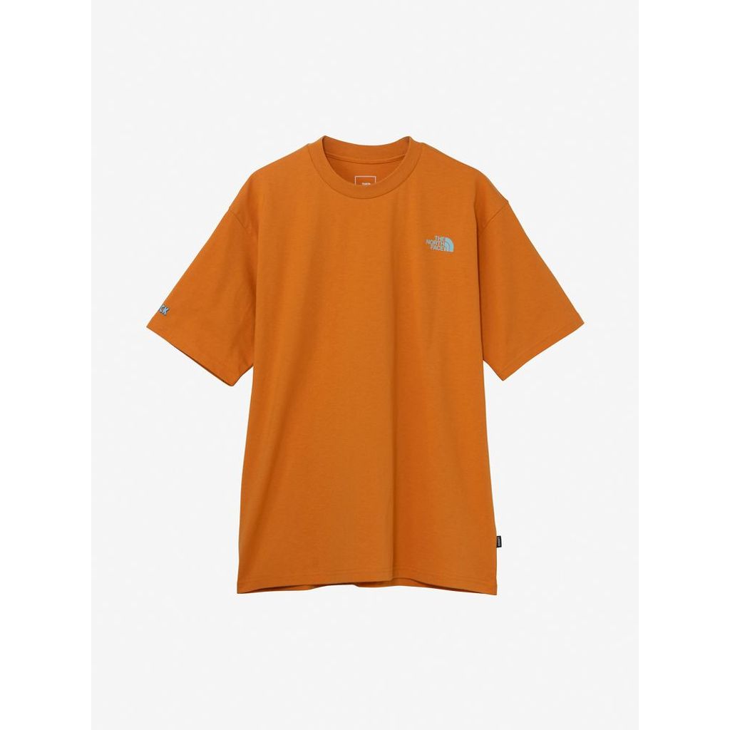 THE NORTH FACE ショートスリーブレイバックトライバルティー(ユニセックス)