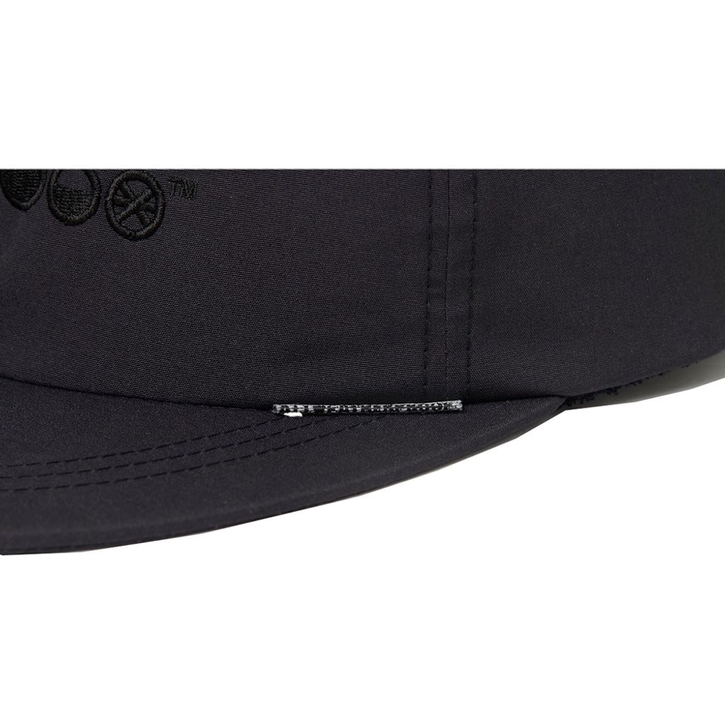 ALWAYTH WDW Cap(weathermap)