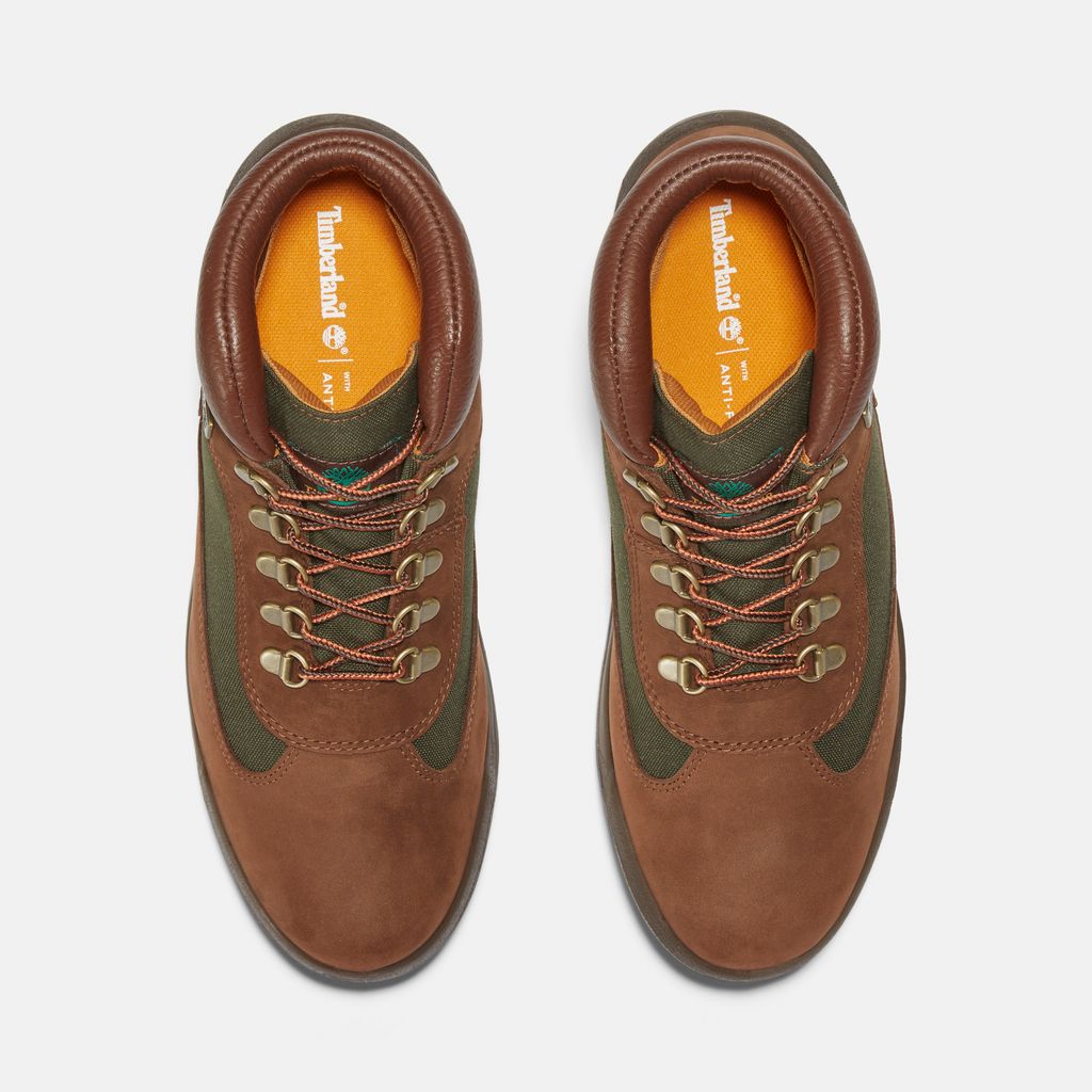 Timberland FIELD BOOT F/L WP CHOCOLATE