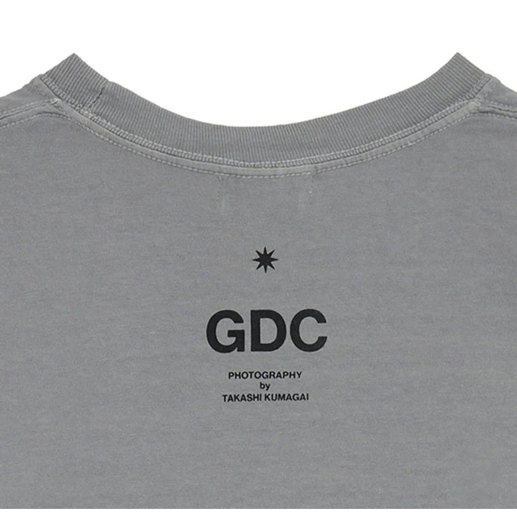 GDC Photo Tee GRAY