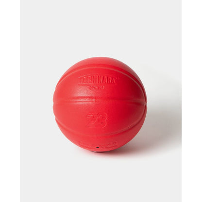 APPLEBUM × TACHIKARA CUSTOM BASKETBALL