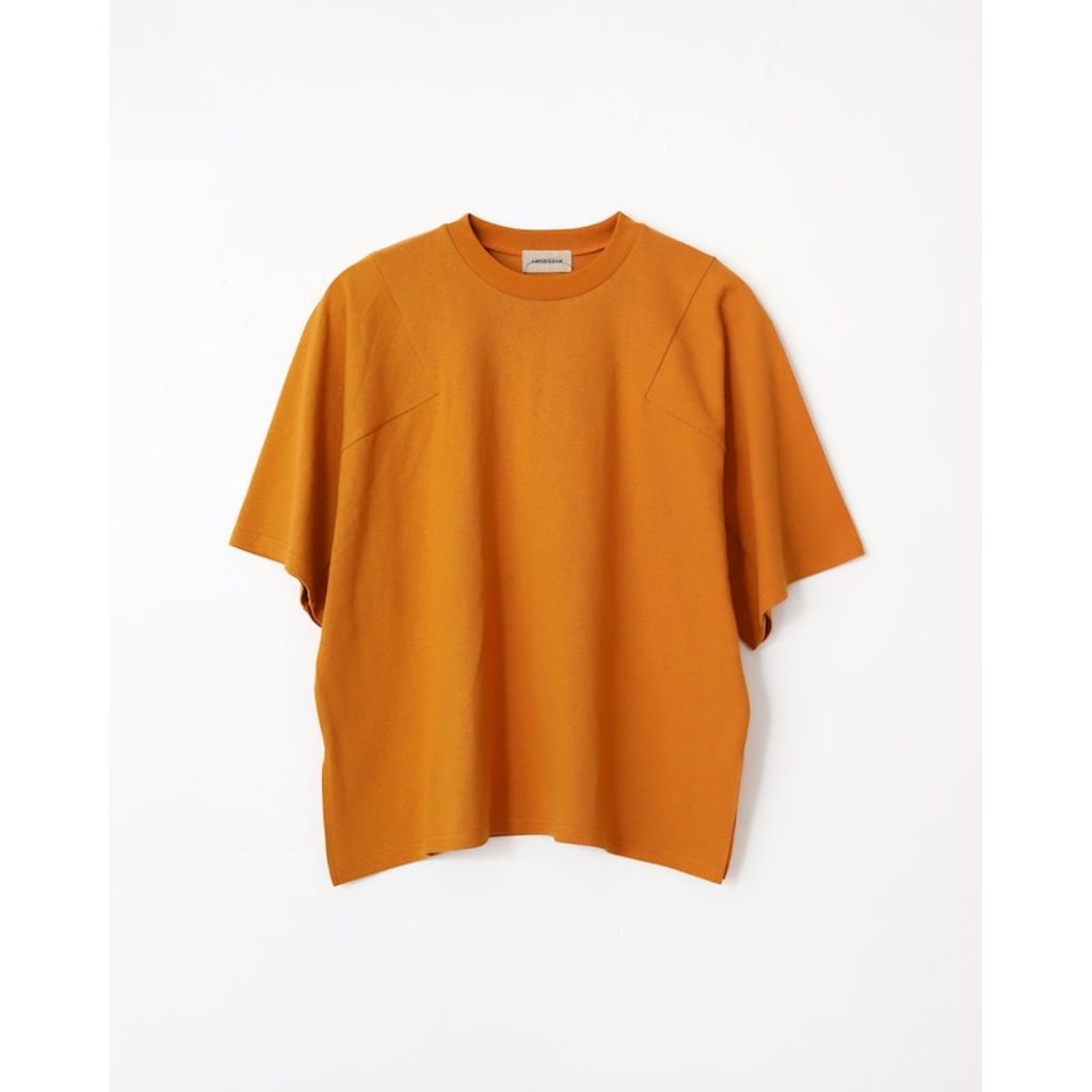 AMBERGLEAM Panel Basic T-Shirt