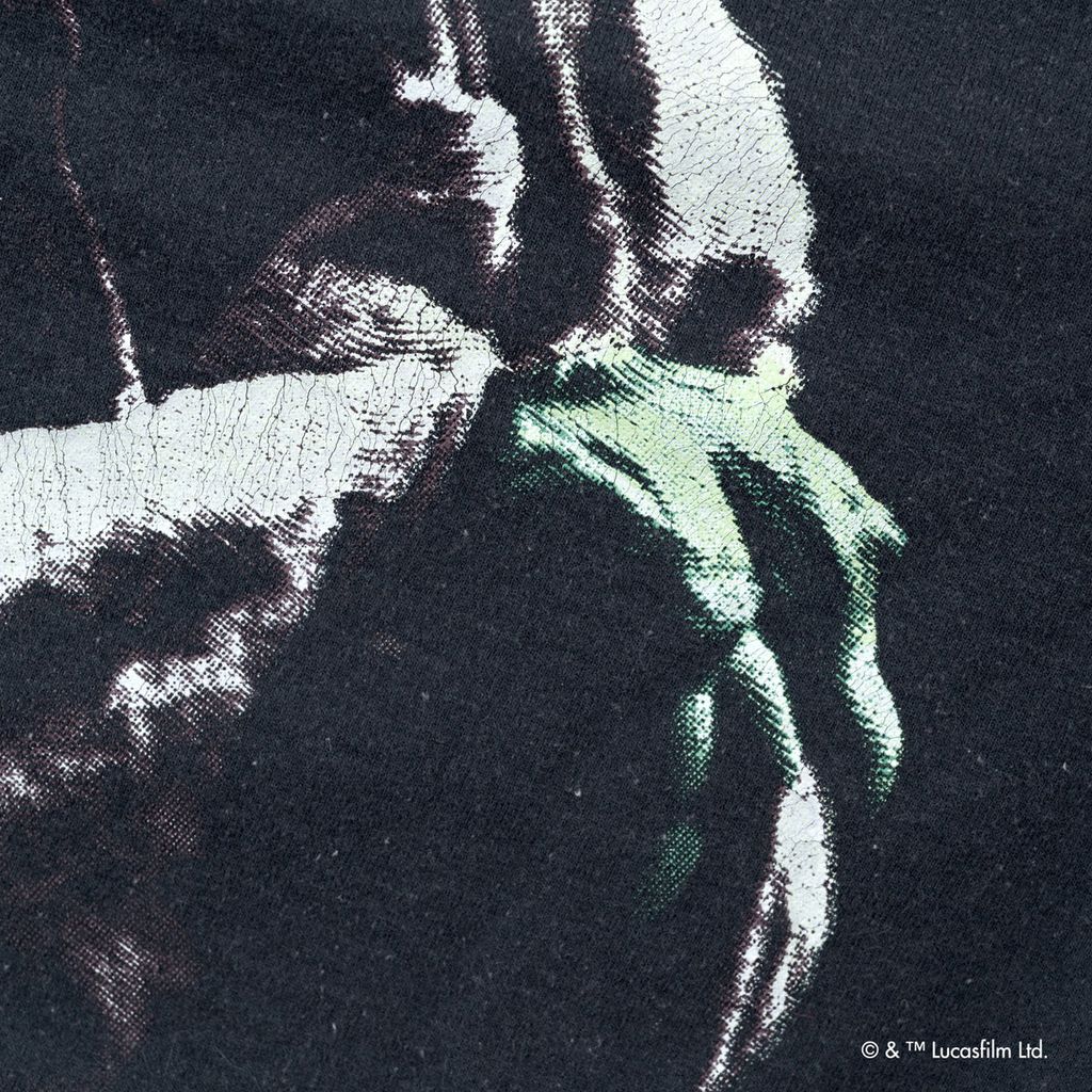 VARIEGATOR Yoda /Sweat