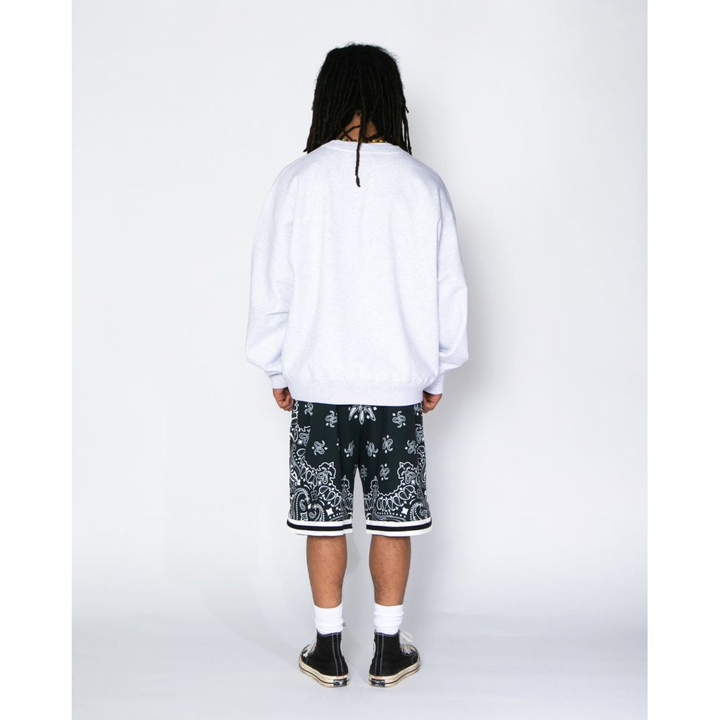 APPLEBUM “PAISLEY” HOOPERS SHORTS / 2610813