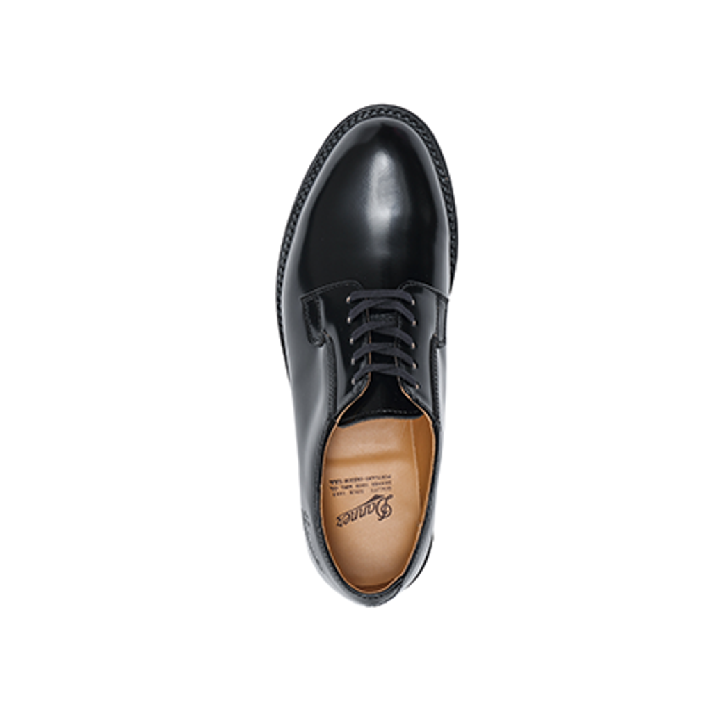 DANNER POSTMAN SHOES