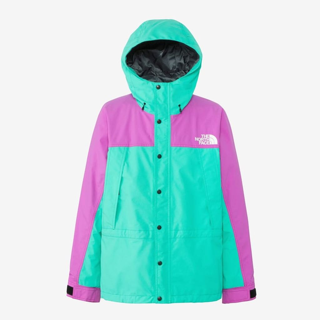 THE NORTH FACE Mountain Light Jacket