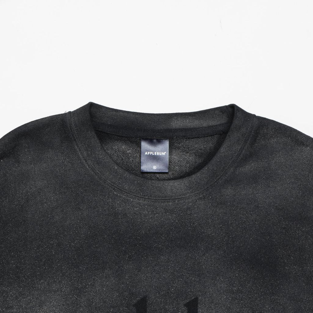 APPLEBUM AIRBRUSH CREW SWEAT / 2420404