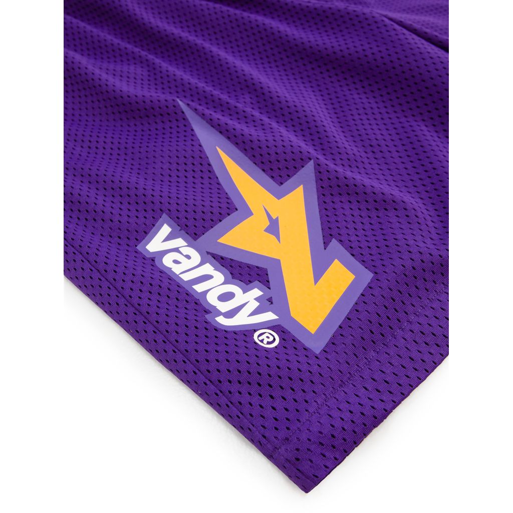 VANDY THE PINK VTP® Mesh Shorts