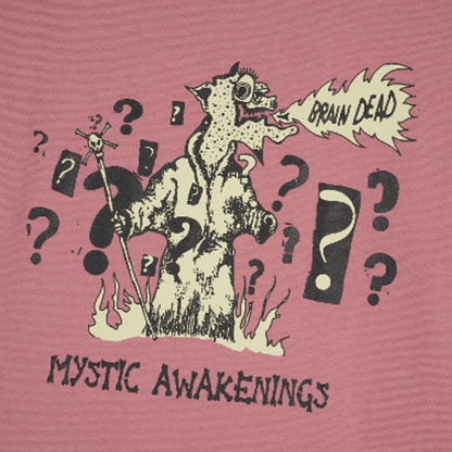 BRAIN DEAD MYSTIC AWAKENINGS T-SHIRT - ROSE TAUPE