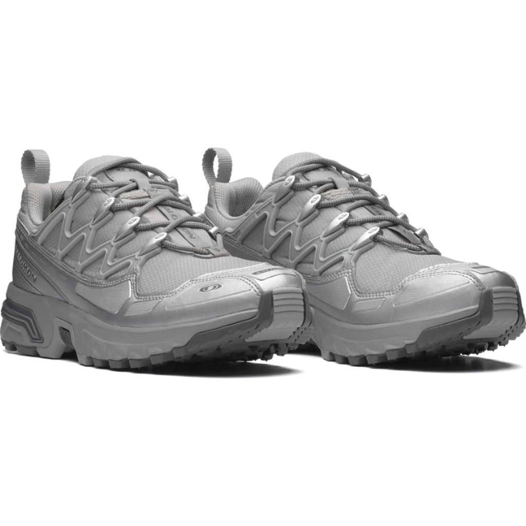 SALOMON ACS+ GORE-TEX(Alloy / Castlerock / Ftw Silver)