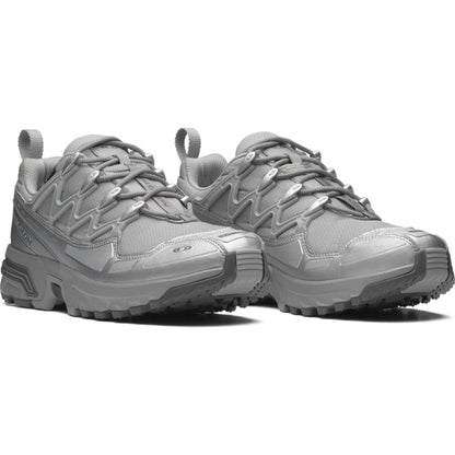 SALOMON ACS+ GORE-TEX(Alloy / Castlerock / Ftw Silver)