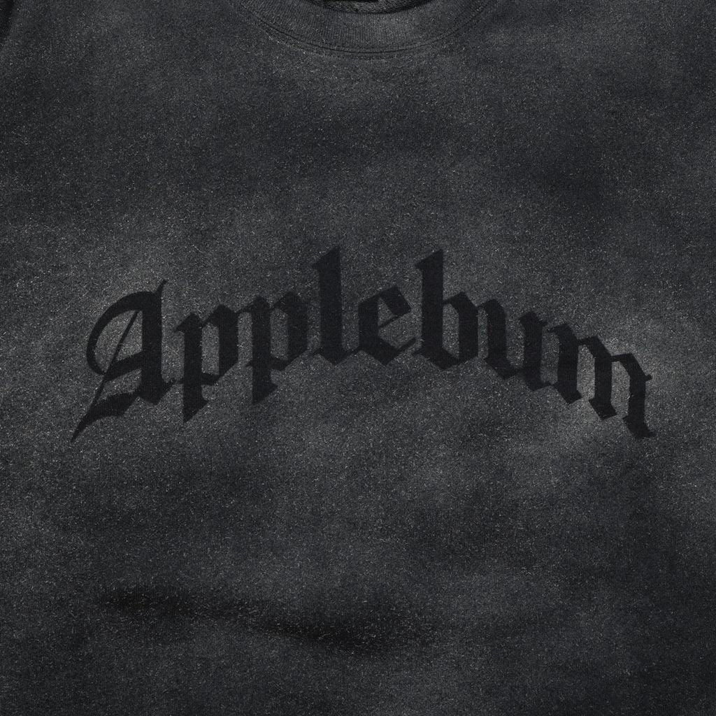 APPLEBUM AIRBRUSH CREW SWEAT / 2420404