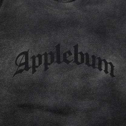 APPLEBUM AIRBRUSH CREW SWEAT / 2420404
