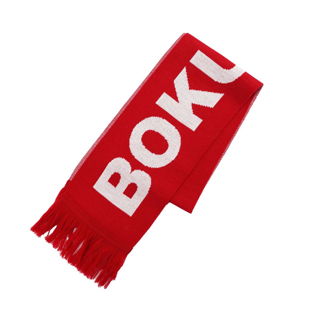 BOKU HA TANOSII ボクタノTWINSマフラー