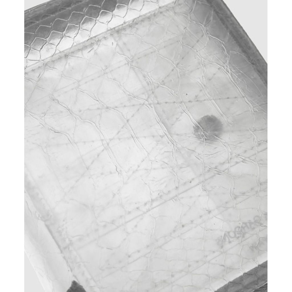 Wallet COMME des GARCONS 【TRANSPARENT SNAKE】ZIP WALLET