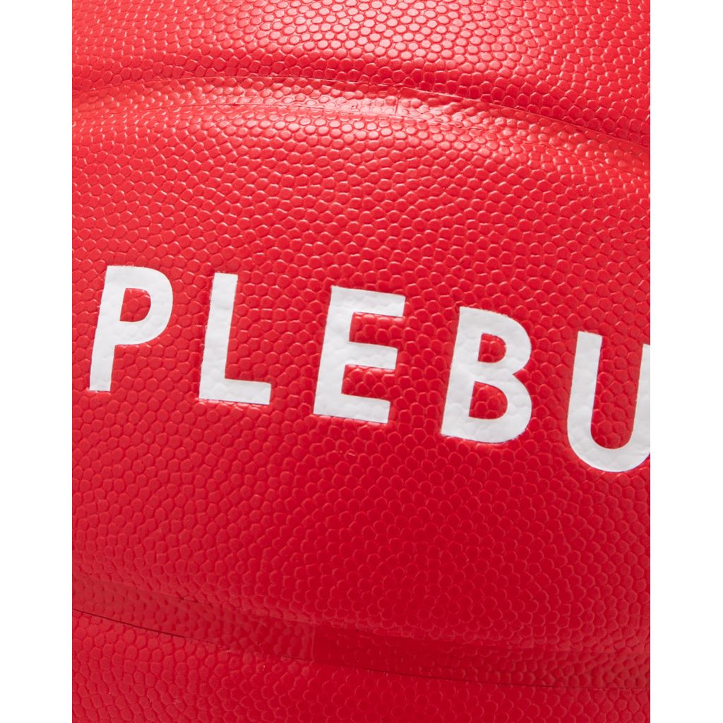 APPLEBUM × TACHIKARA CUSTOM BASKETBALL