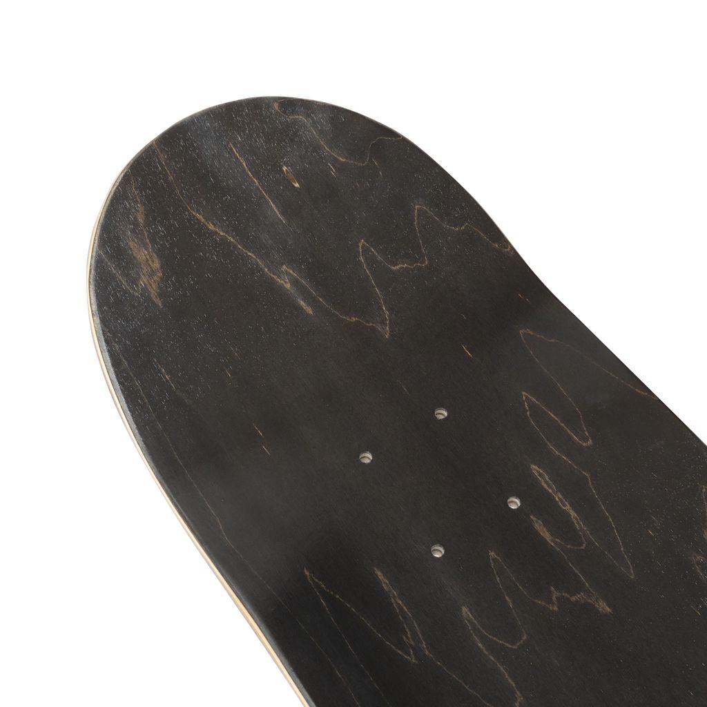 MAGIC STICK  THA CARTER III ALBUM COVER DECK