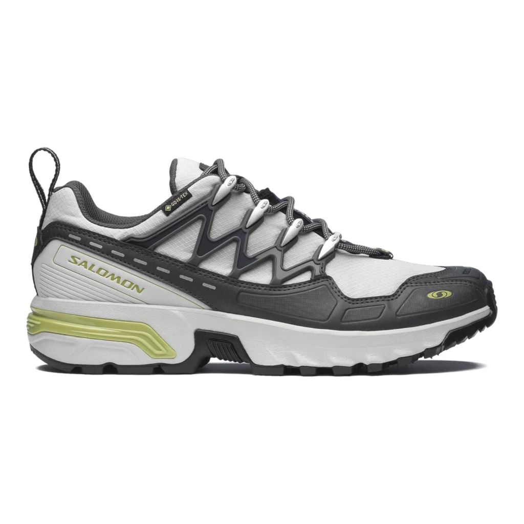 SALOMON ACS+ GORE-TEX(Gray Violet/Asphalt/Sweet Pea)