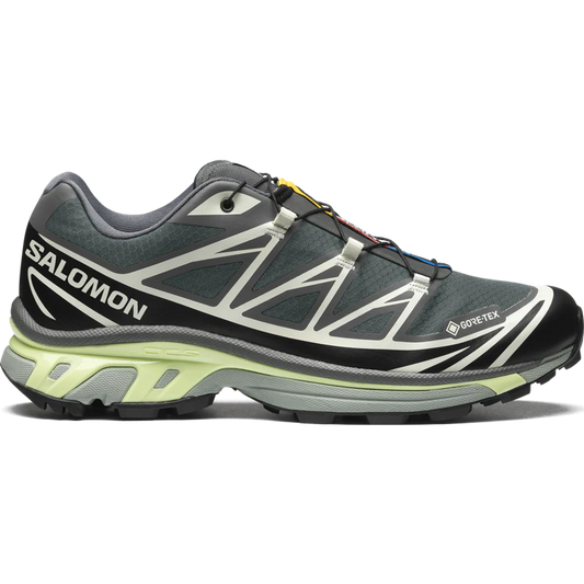 SALOMON XT-6 GORE-TEX(Urban Chic/Black/Lime Cream)