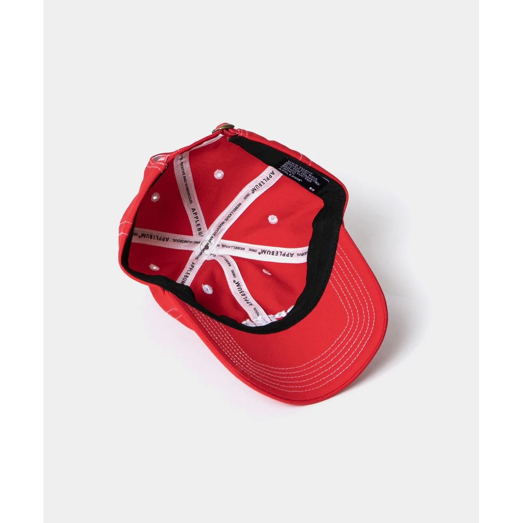 APPLEBUM WHITE STITCH CAP