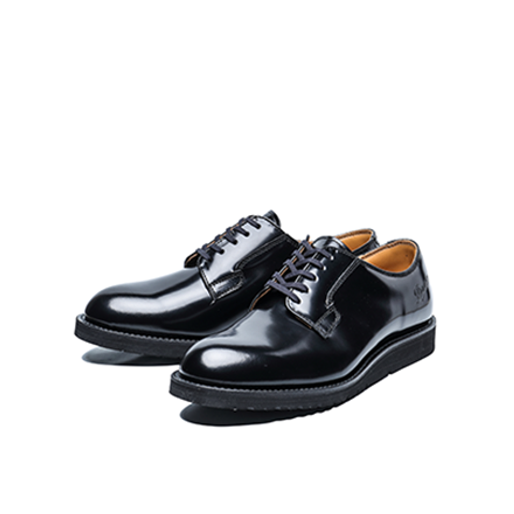 DANNER POSTMAN SHOES