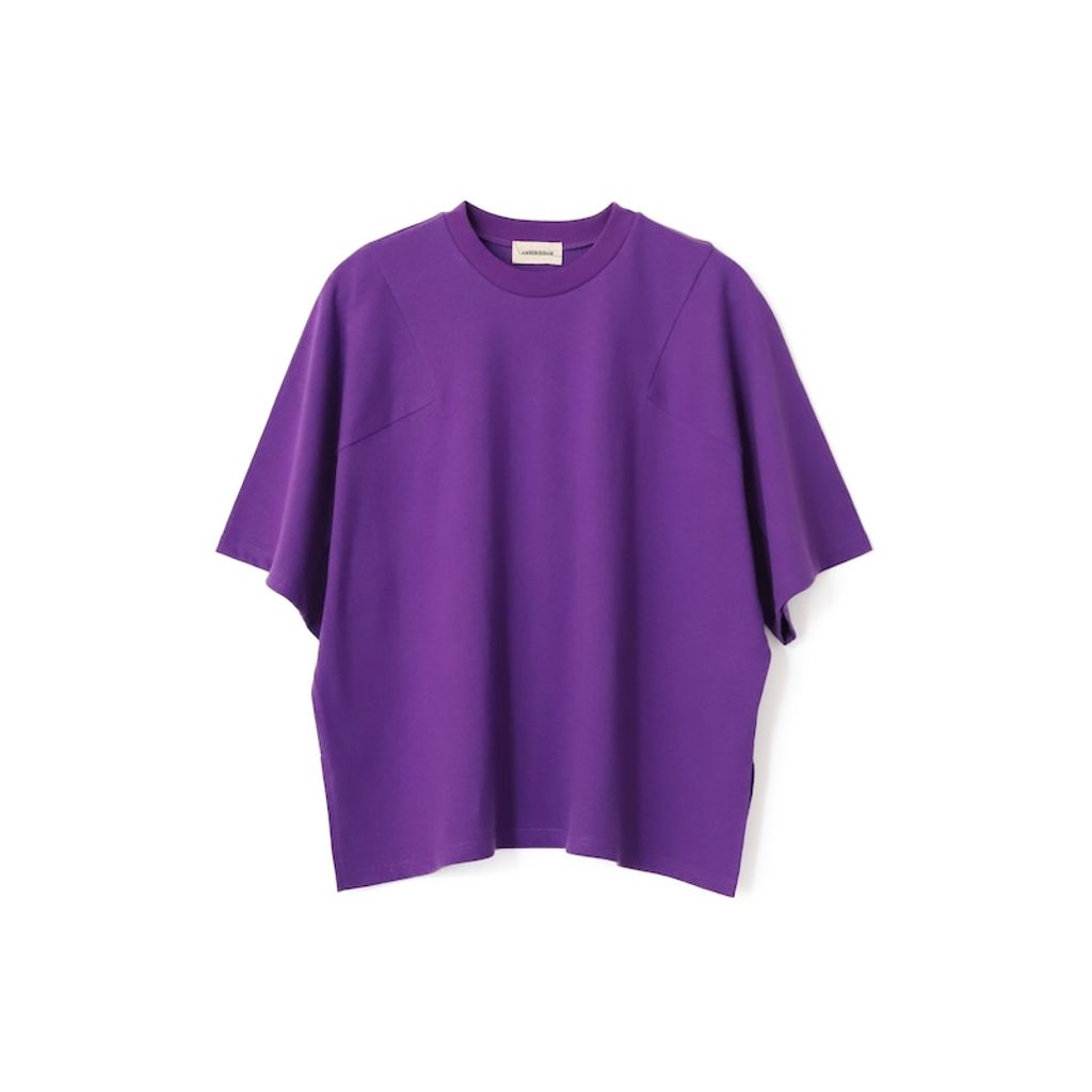 AMBERGLEAM Panel Basic T-Shirt