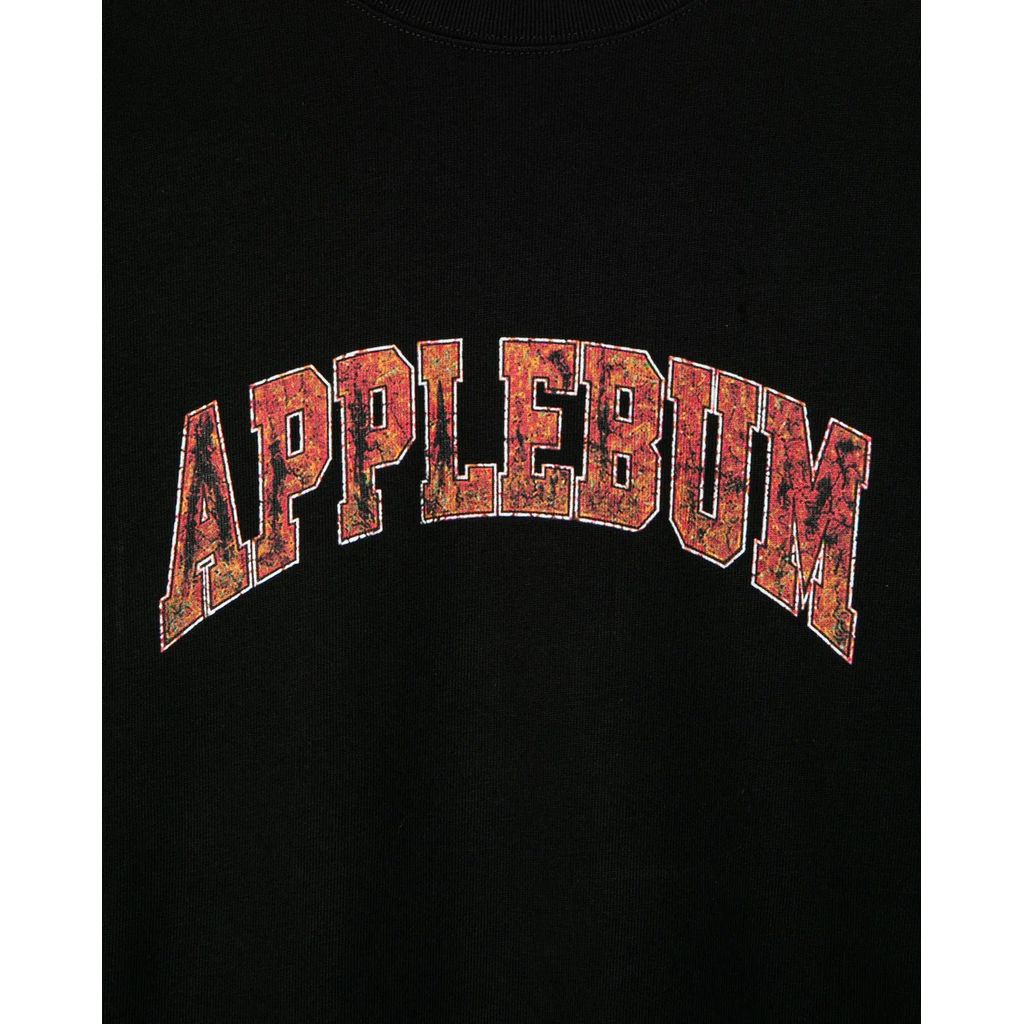 APPLEBUM Vintage logo T-shirt HS2611104