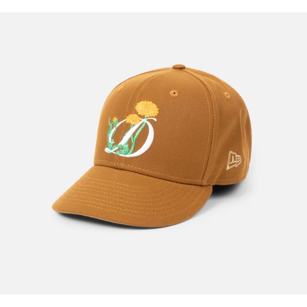 Dime Plein Air New Era Cap