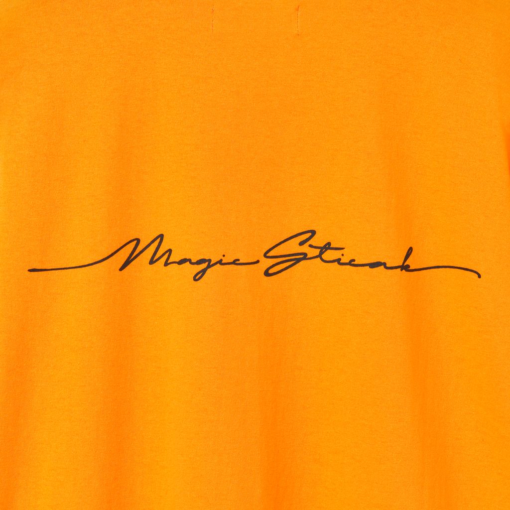 MAGIC STICK ROY AYERS HERMONY T