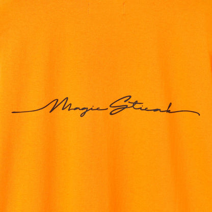 MAGIC STICK ROY AYERS HERMONY T