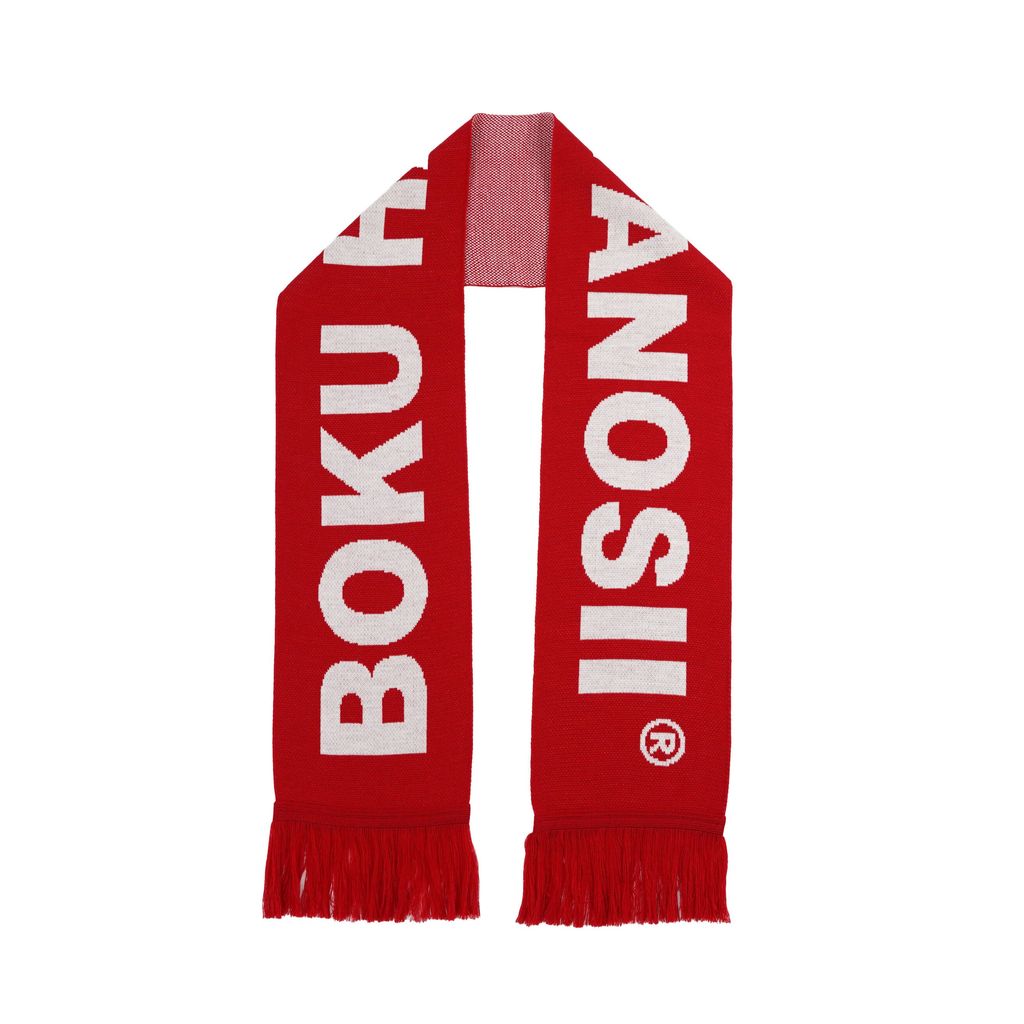 BOKU HA TANOSII ボクタノTWINSマフラー