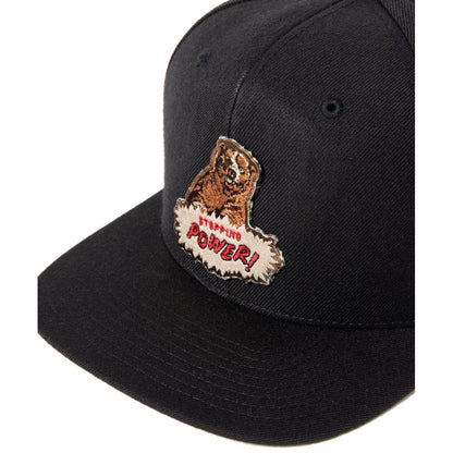 MASSES FULL PANEL CAP BEER