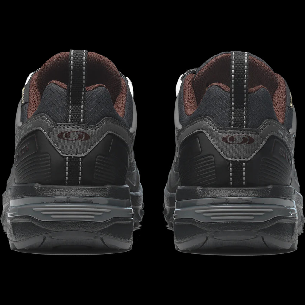 SALOMON ACS+ GORE-TEX(Black / Castlerock / Rum Raisin)