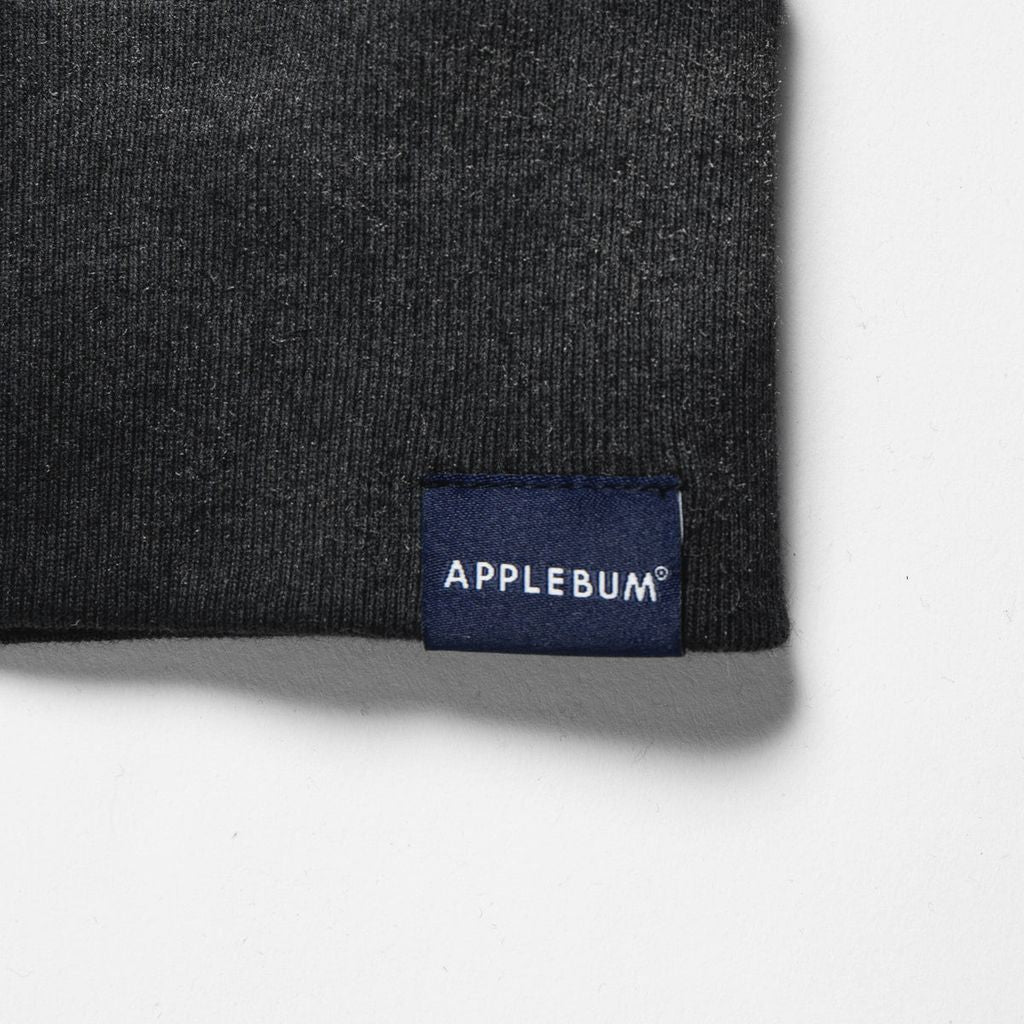 APPLEBUM AIRBRUSH CREW SWEAT / 2420404