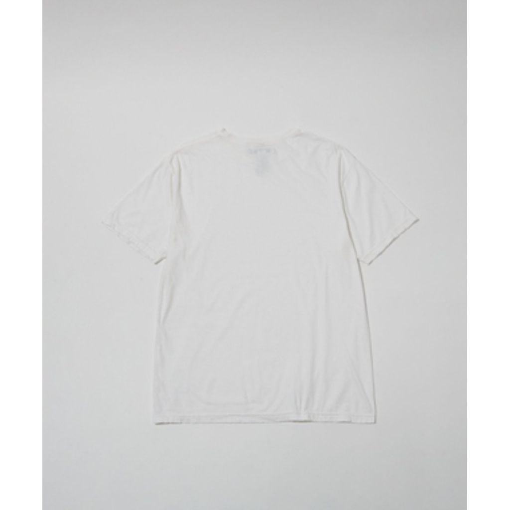 MASSES PLAIN T-SHIRTS 2PACK WASH