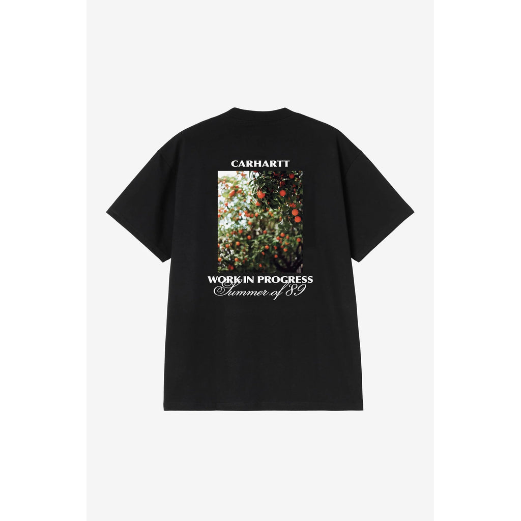 CARHARTT WIP Warm Views T-Shirt