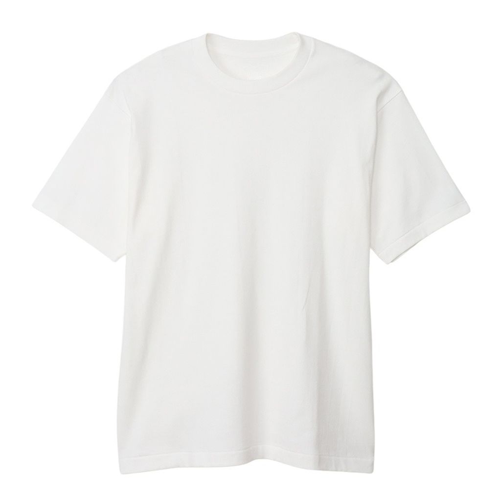 Hanes SHIRO クルーネックTシャツ 24FW