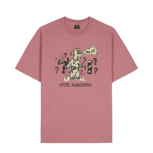 BRAIN DEAD MYSTIC AWAKENINGS T-SHIRT - ROSE TAUPE