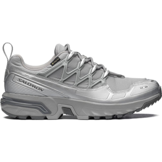 SALOMON ACS+ GORE-TEX(Alloy / Castlerock / Ftw Silver)