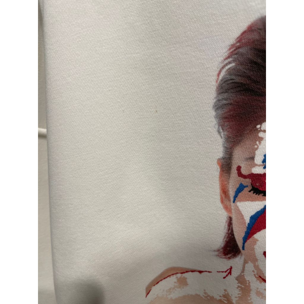 訳あり Devilock DAIVID BOWIE SWEAT