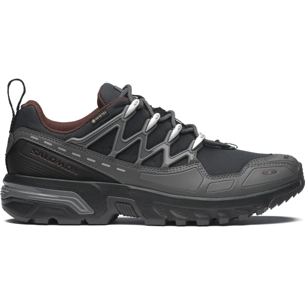 SALOMON ACS+ GORE-TEX(Black / Castlerock / Rum Raisin)
