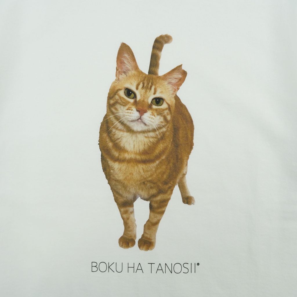 BOKU HA TANOSII Science Photo Tee / HOUSE CAT