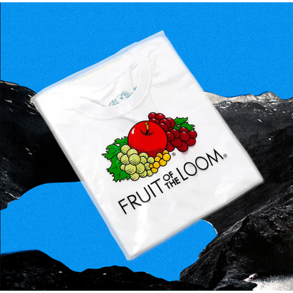 HOMBRE NINO  FRUIT OF THE LOOM 2PACK TEE