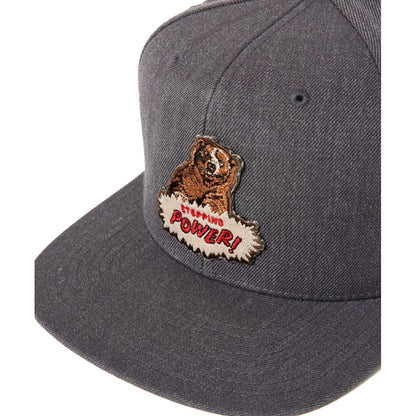 MASSES FULL PANEL CAP BEER