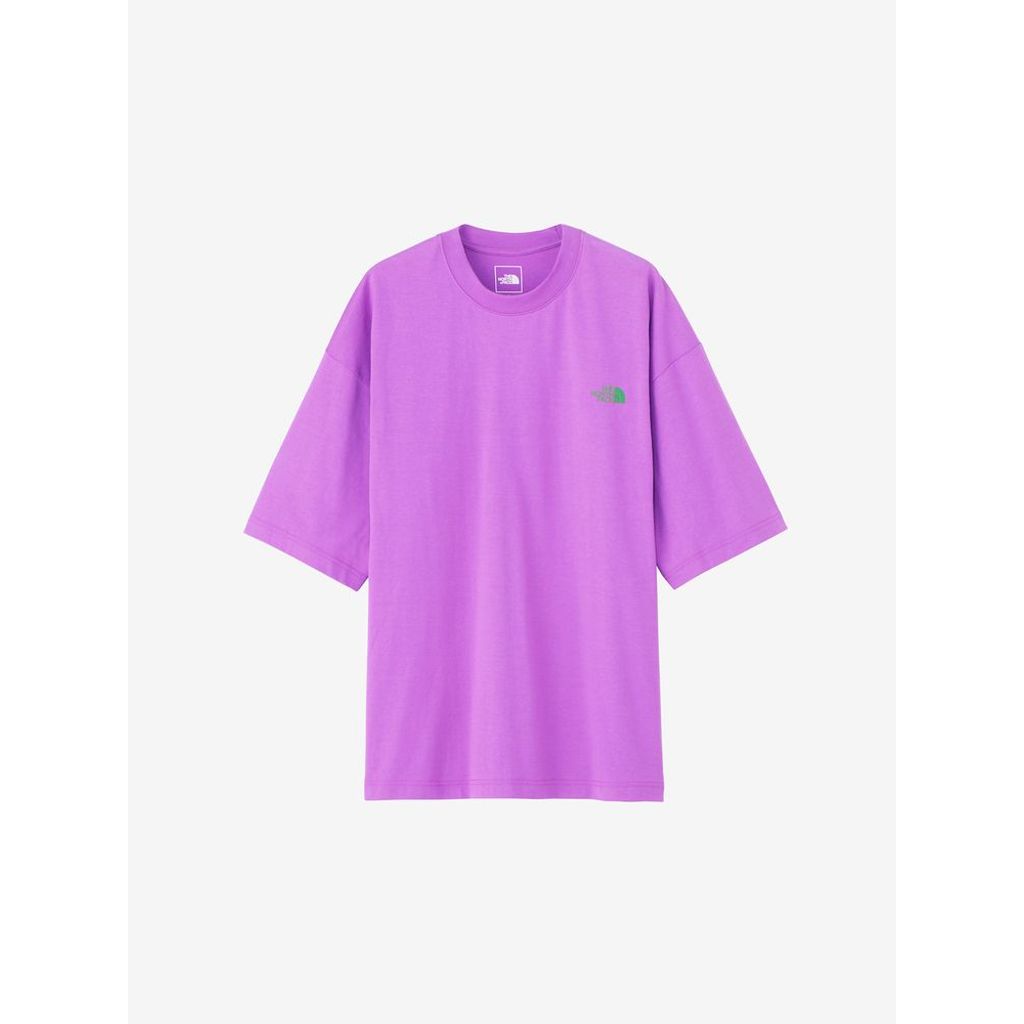 THE NORTH FACE　ショートスリーブシンプルカラースキームティー