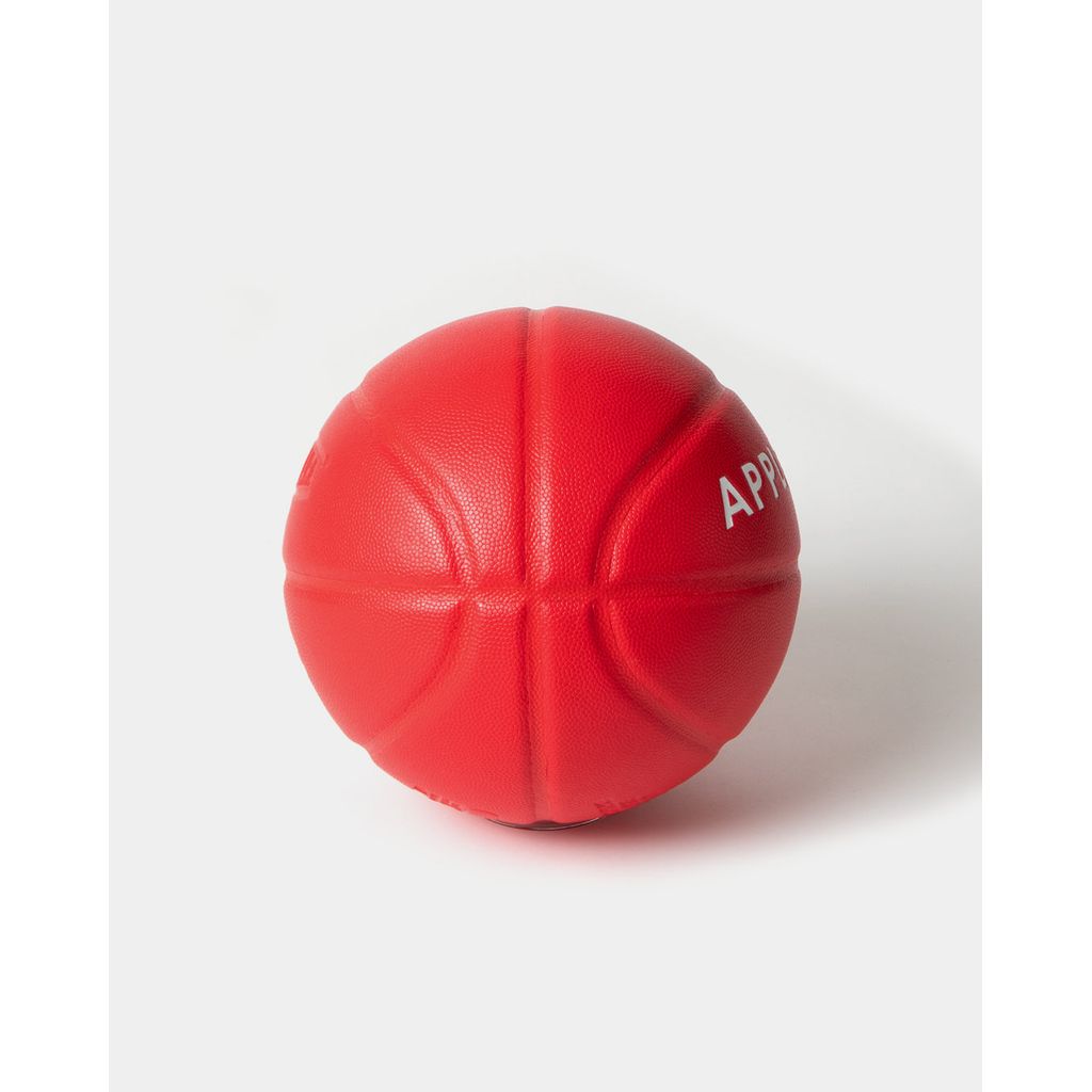 APPLEBUM × TACHIKARA CUSTOM BASKETBALL