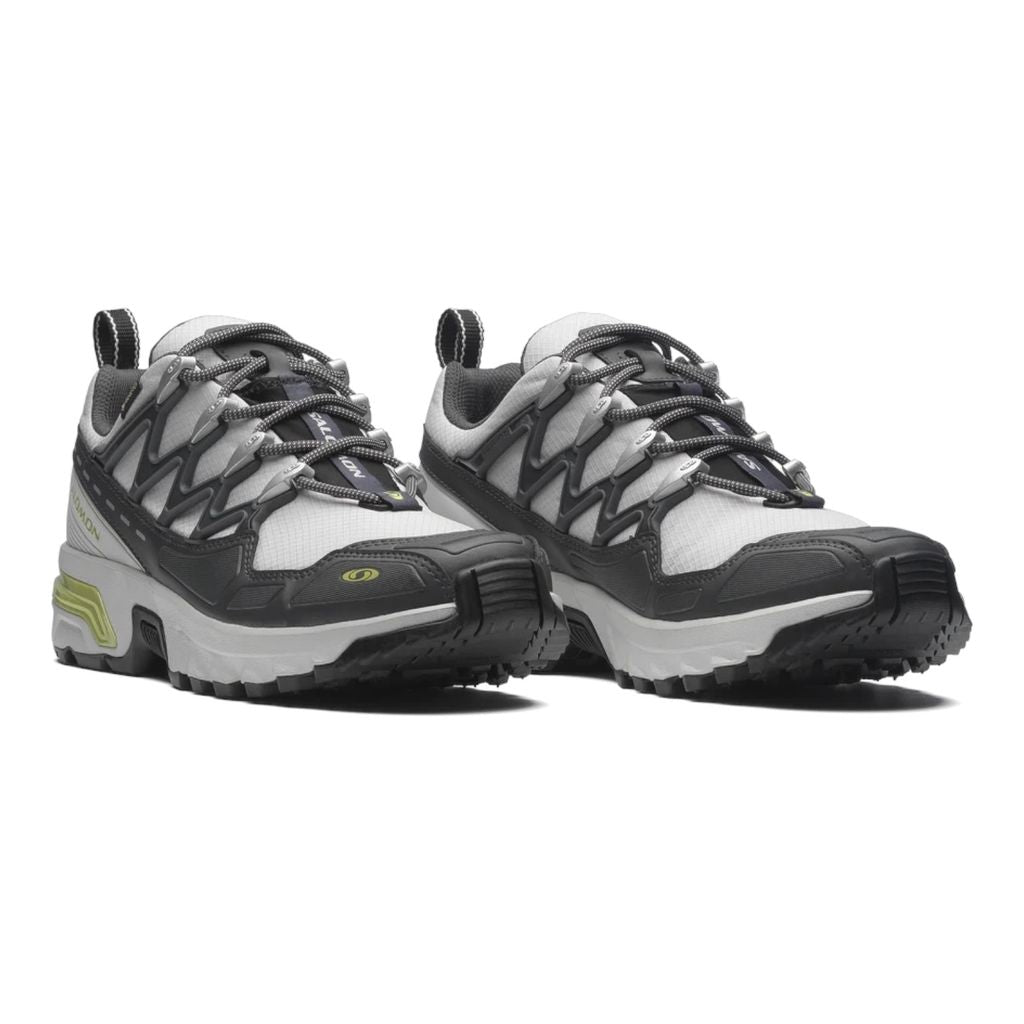 SALOMON ACS+ GORE-TEX(Gray Violet/Asphalt/Sweet Pea)