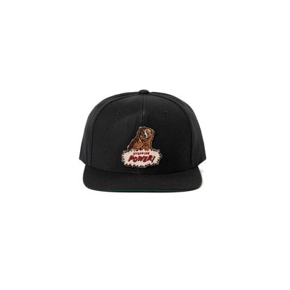 MASSES FULL PANEL CAP BEER