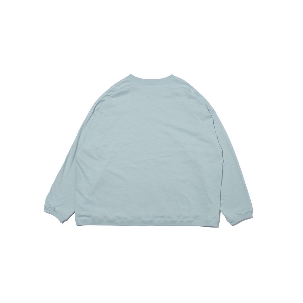 F/CE. RE SILICON CORPORATE L/S T