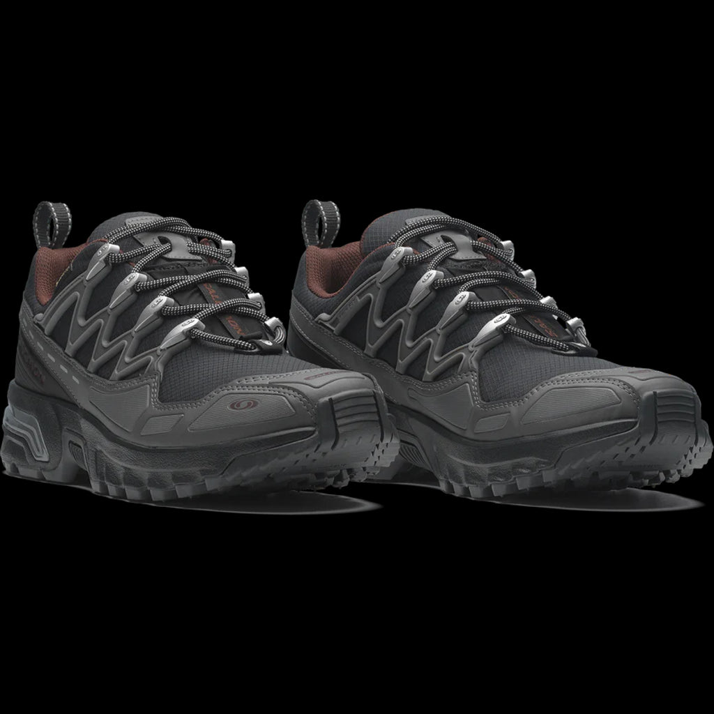 SALOMON ACS+ GORE-TEX(Black / Castlerock / Rum Raisin)